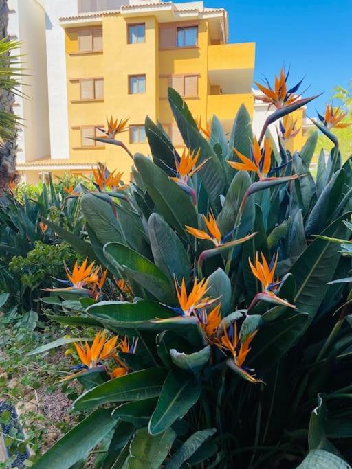 Casa De Flores Торевьиа Экстерьер фото